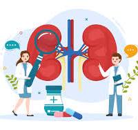 Nephrologist at Meera Hospitals
